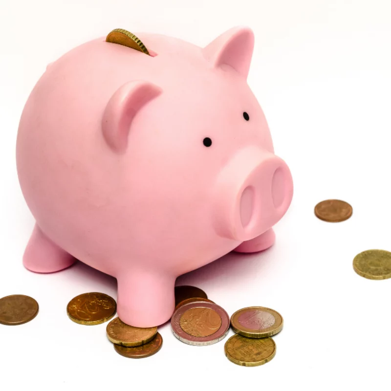Ahorros en hucha cerdito